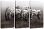 Picture of Appaloosa Triptych by Robert Dawson
