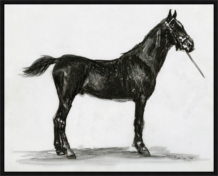 Picture of Horse Study 3 by Stellar Design
