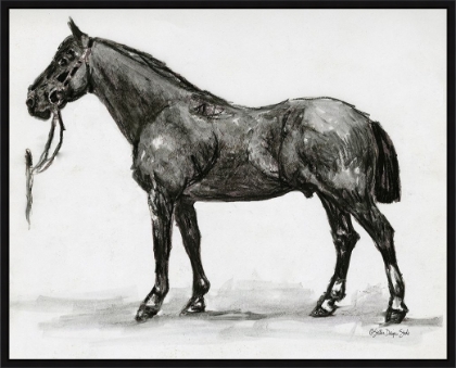 Picture of Horse Study 4 by Stellar Design