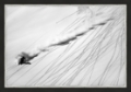 Picture of Skiing Powder by Lorenzo Rieg