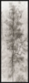 Picture of Tree Triptych II by Norm Stelfox