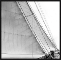 Picture of Under Sail I by Laura Denardo