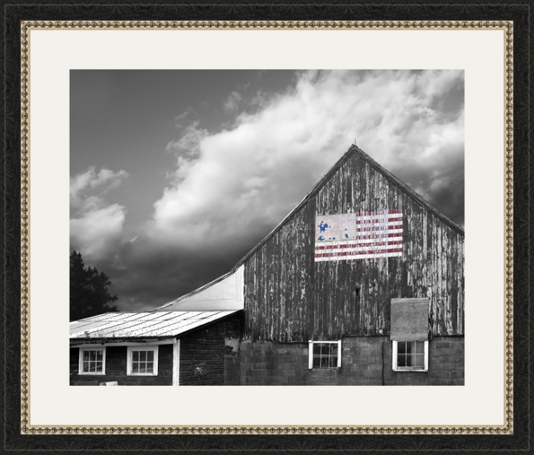 Picture of Flags Of Our Farmers VII by James McLoughlin