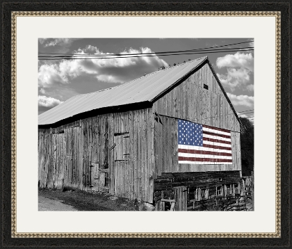 Picture of Flags Of Our Farmers IV by James McLoughlin