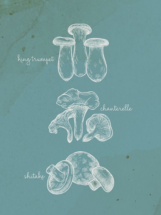 Picture of MUSHROOM TYPE 1