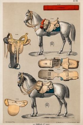 Picture of HORSES WITH ANTIQUE RIDING EQUIPMENT II