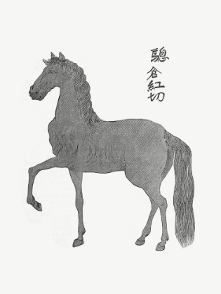 Picture of HORSE ILLUSTRATION