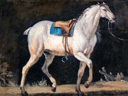 Picture of SADDLED GRAY HORSE