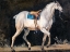 Picture of SADDLED GRAY HORSE