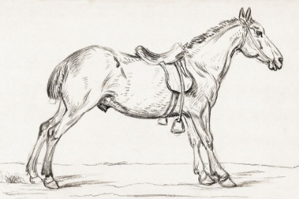 Picture of SADDLED HORSE 1823