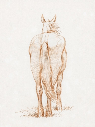 Picture of STANDING HORSE 1815