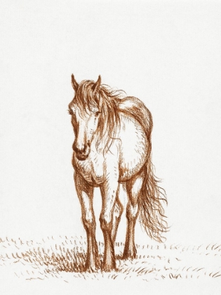 Picture of STANDING HORSE 1816