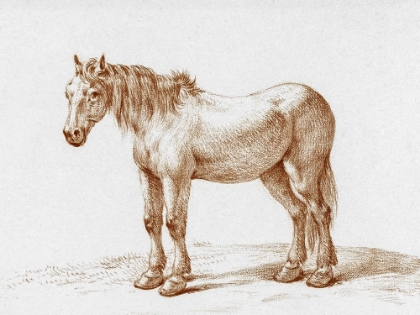 Picture of STANDING HORSE I