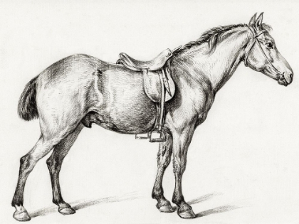 Picture of STANDING HORSE II