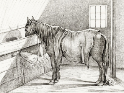 Picture of STANDING HORSE IN A STABLE