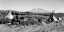 Picture of CAMPGROUND HUCKLEBERRIES
