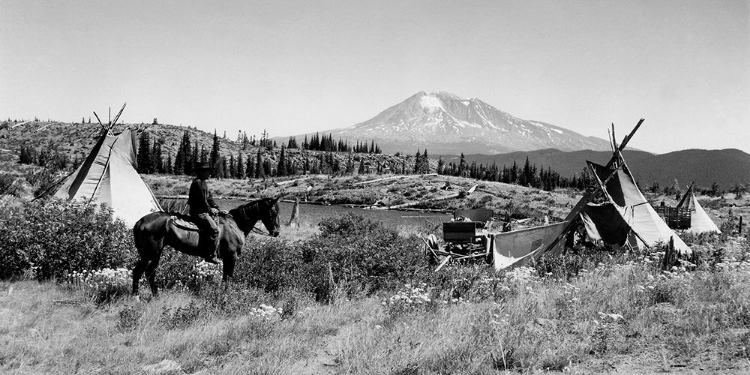 Picture of CAMPGROUND HUCKLEBERRIES