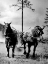 Picture of EIGHT MILE FIRE TEAM