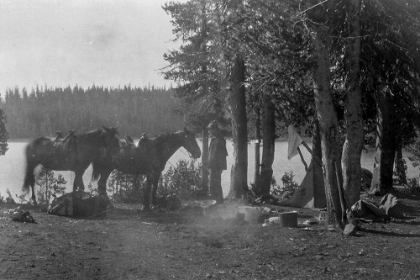 Picture of FORESTER IN CAMP WITH HORSES