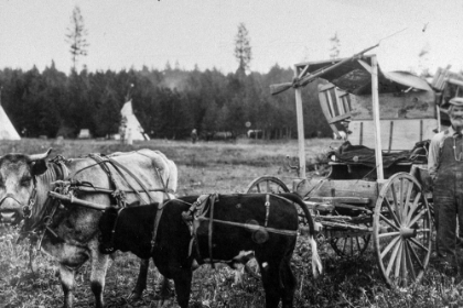 Picture of OXEN AND WAGON-OLD OREGON TRAIL