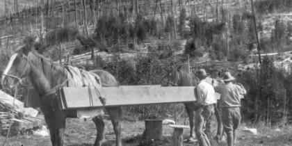 Picture of PACKING LUMBER