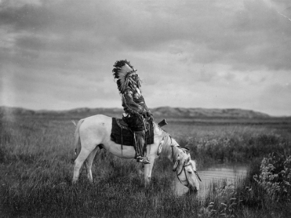 Picture of SIOUX NATIVE AMERICAN ON HORSE