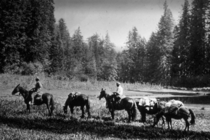 Picture of SMALL MEADOW