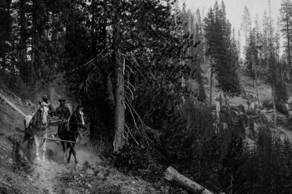 Picture of WAGON ON TRAIL FROM DIAMOND LAKE