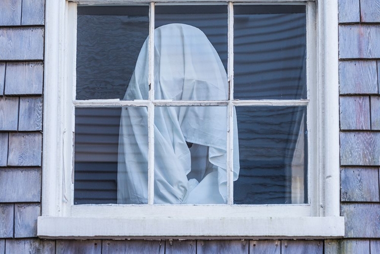 Picture of USA-MASSACHUSETTS-NANTUCKET ISLAND. NANTUCKET TOWN-WRAPPED SHAPE IN WINDOW