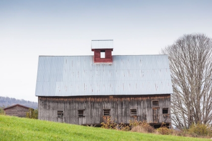 Picture of USA-VERMONT-ROCKINGHAM. BARN