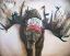 Picture of DECK THE HALLS MOOSE