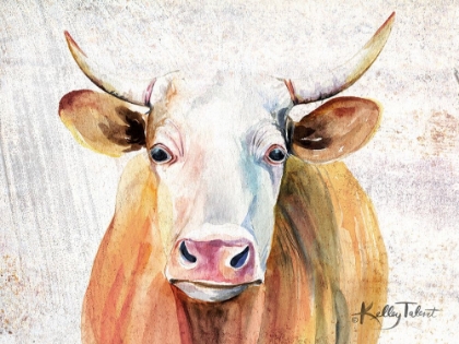 Picture of ROYAL GOLD STEER