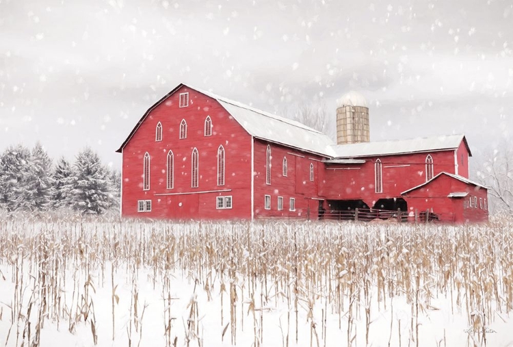 Picture of BELLEVILLE COUNTRYSIDE