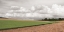 Picture of COUNTRY STORM CLOUDS