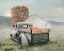 Picture of PUMPKIN SEASON