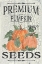 Picture of PUMPKIN SEEDS