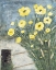 Picture of BEACHSIDE SPRING