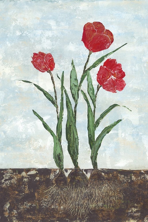 Picture of RED TULIPS