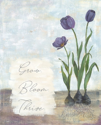 Picture of GROW BLOOM THRIVE