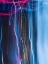 Picture of STEMS II