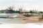 Picture of MARSH REEDS IV
