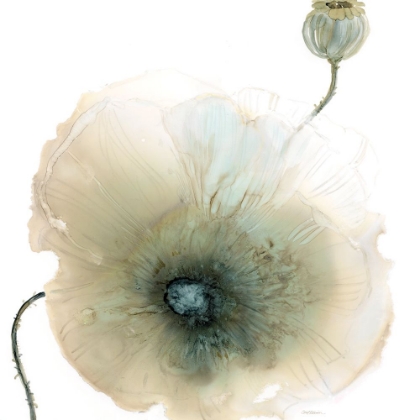 Picture of IRIDESCENT POPPY I