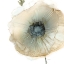 Picture of IRIDESCENT POPPY II