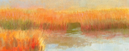 Picture of SALT MARSH LIGHT