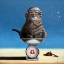 Picture of LIBRA