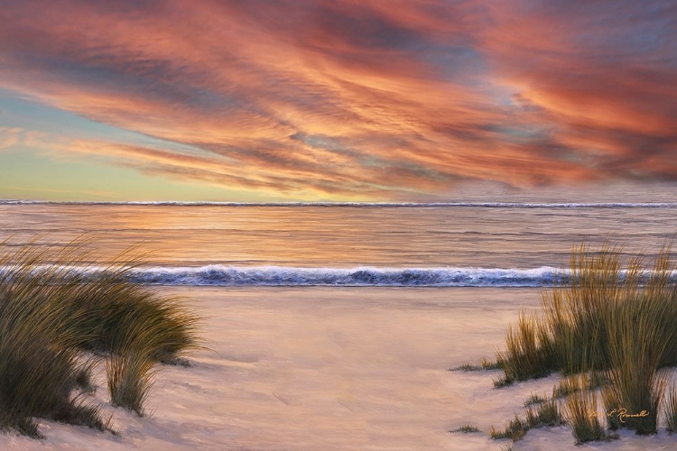 Picture of BEACH SOLITUDE