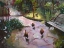 Picture of THE SECRET GARDEN