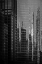 Picture of CHICAGO REFLECTIONS 