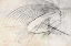 Picture of TRAIPSE II