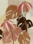 Picture of HOT TROPICS I 